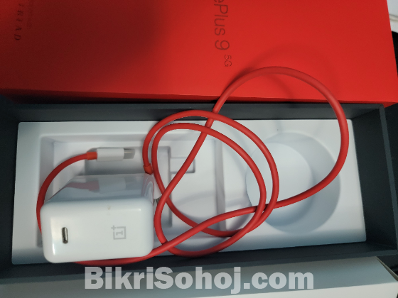OnePlus 65w Original Charger